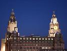 Liver Building 